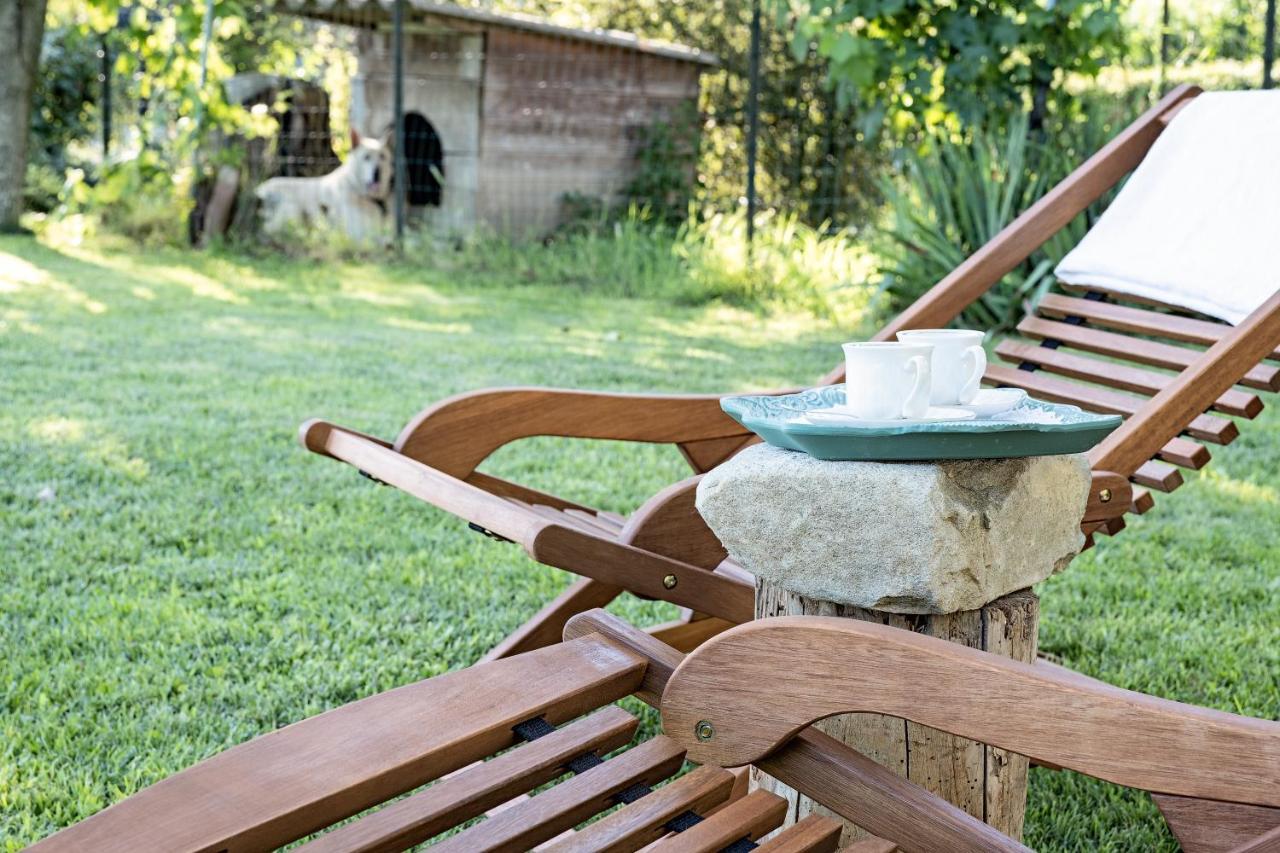 Villa Curte Nicia Nizza Monferrato Kültér fotó